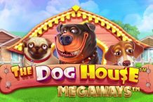 the dog house megaways thumb 218x145